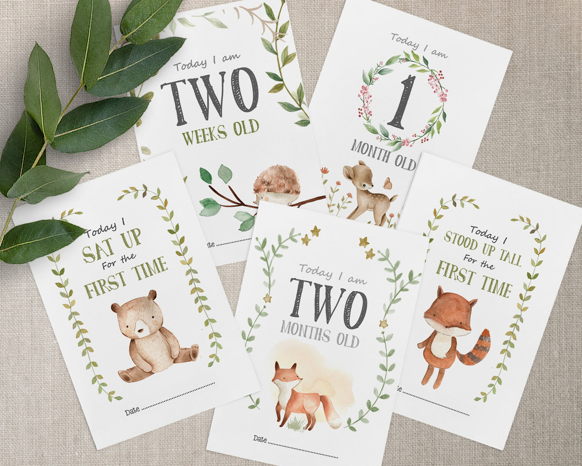 Woodland Creatures Baby Milestone Cards – littleboodesigns