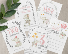  Elephant Pink Design Baby Milestone Cards