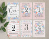 Pink Floral Baby Milestone Cards