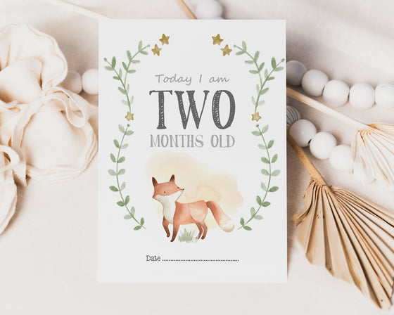 Woodland Creatures Baby Milestone Cards