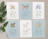 Vintage Blue Baby Milestone Cards