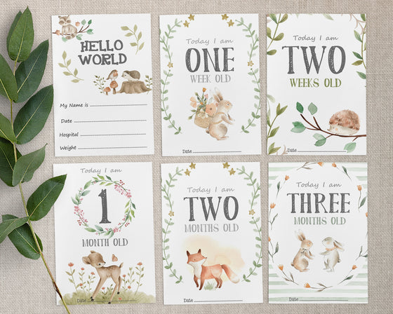 Woodland Creatures Baby Milestone Cards