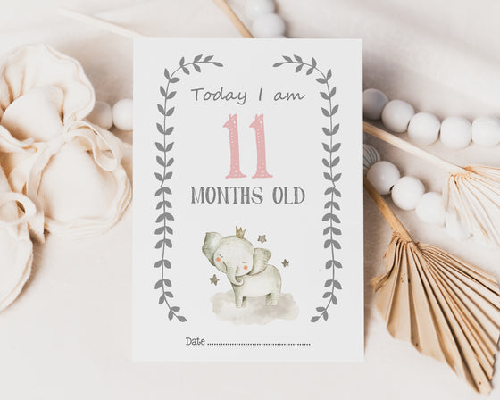 Elephant Pink Design Baby Milestone Cards