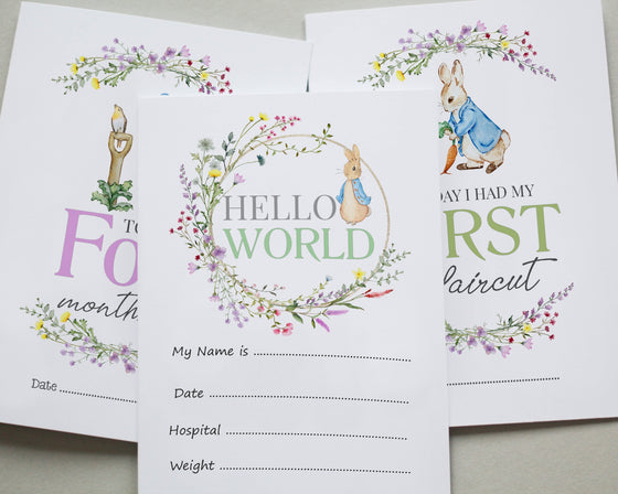 Peter Rabbit Animal Baby Millstone Cards