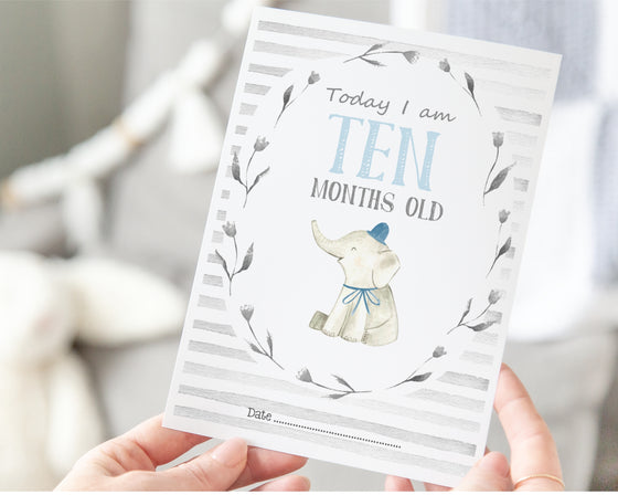 Elephant Blue Design Baby Milestone Cards