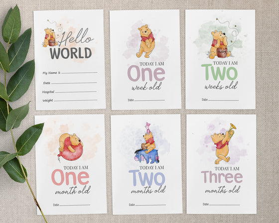 Winnie the Pooh Animal Baby Millstone Cards