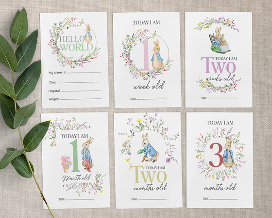 Peter Rabbit Animal Baby Millstone Cards