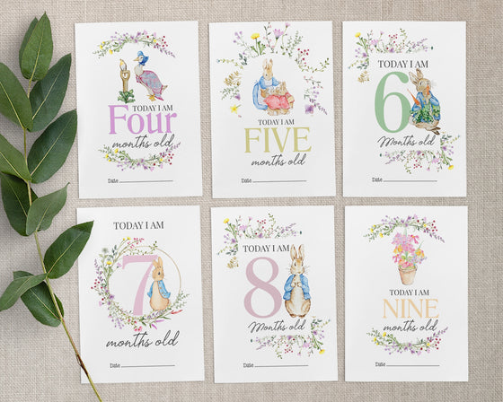 Peter Rabbit Animal Baby Millstone Cards