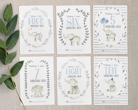 Elephant Blue Design Baby Milestone Cards