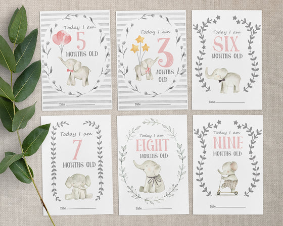 Elephant Pink Design Baby Milestone Cards