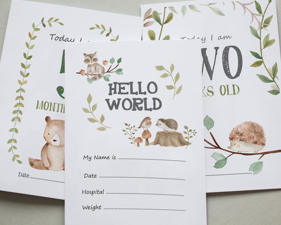 Woodland Creatures Baby Milestone Cards